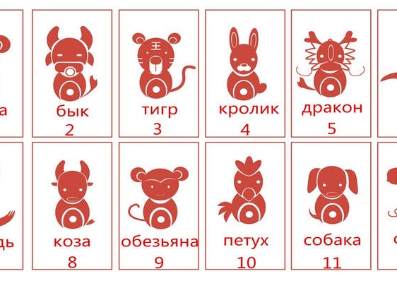 Астрология и нумерология по дате рождения для начинающих