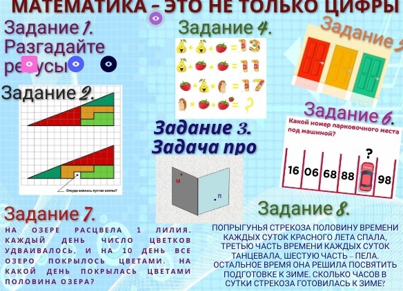 Числа — это не только для математиков! 🔢